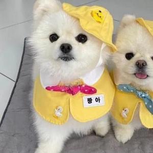 张春文
