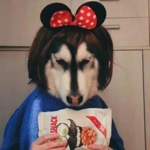 赵恩珍