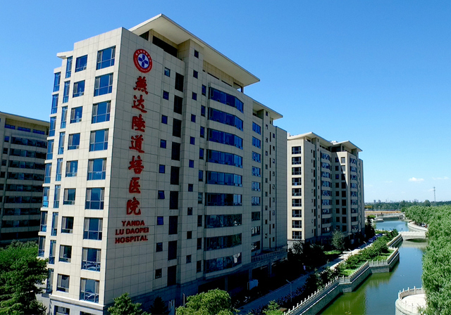 河北燕达陆道培医院